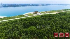 再讲茂名是偏僻、闭塞的小城市我会→不→服→